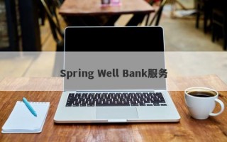Spring Well Bank服务